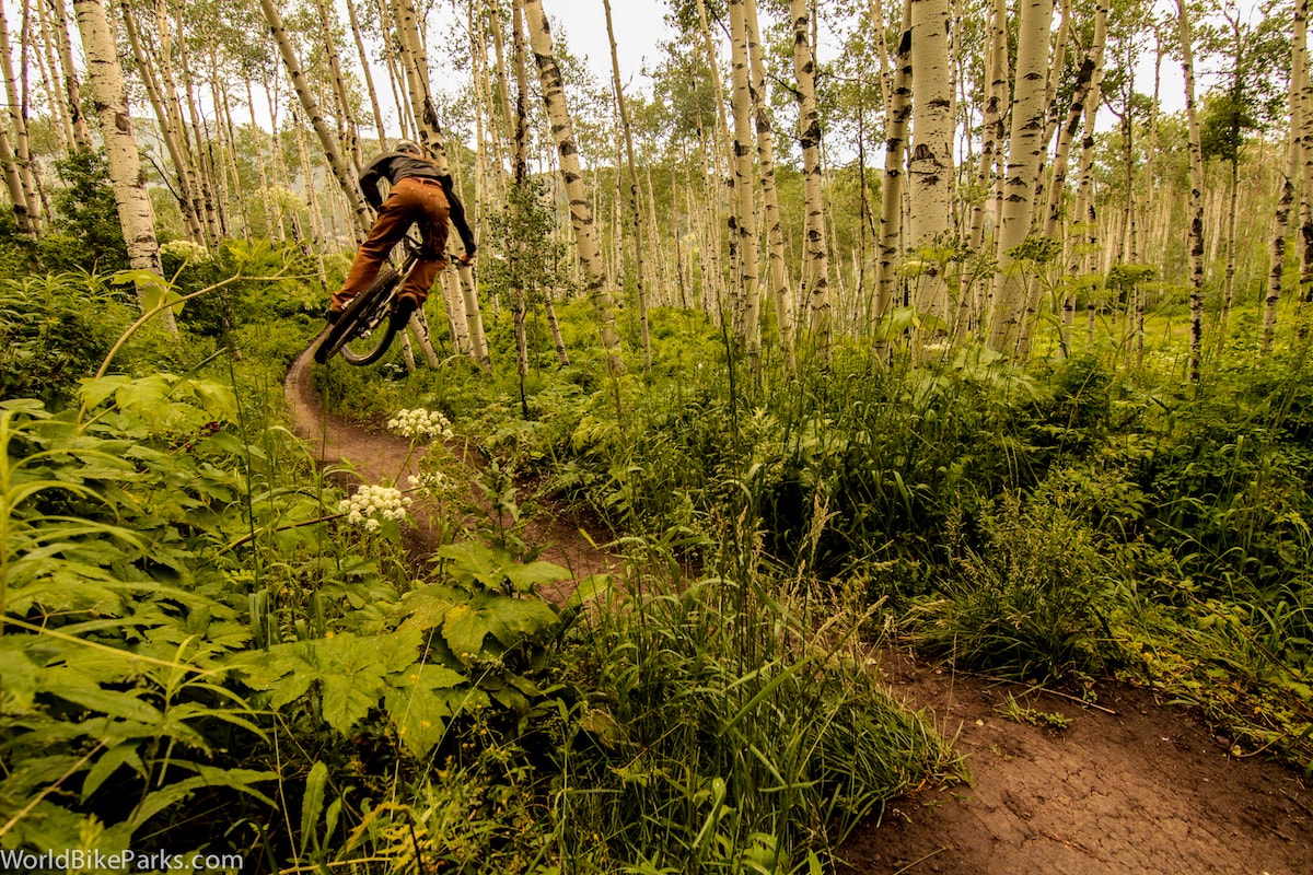 WBP Review Bike Snowmass / WorldBikeParks